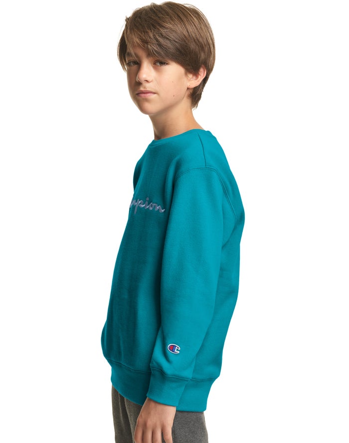 Champion sweater hotsell turquoise niña